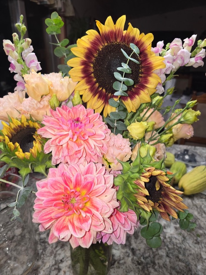 A bouquet of sunflowers, pink dahlias, lisianthus and snapdragons with eucalyptus