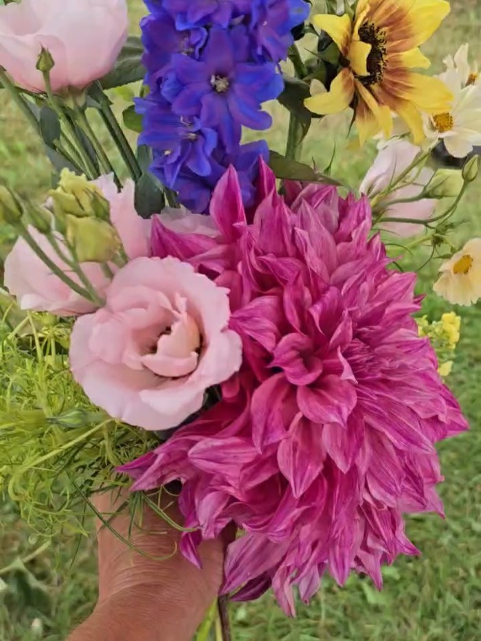 A bouquet built around a magenta dahlia with blue delphinium, a sunflower and pale lisianthus